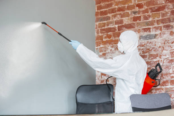 Best Mold Documentation for Insurance Claims  in Loving, NM