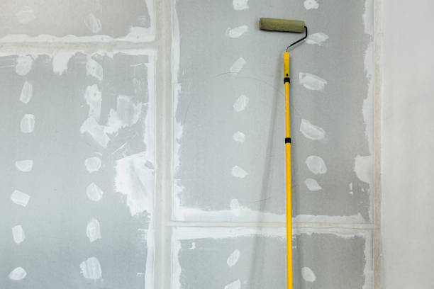Best Residential Mold Inspection & Testing  in Loving, NM