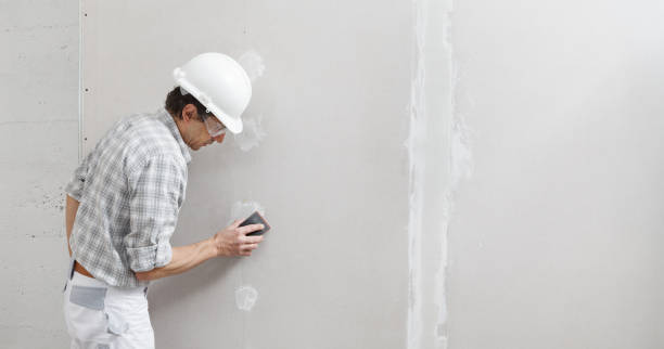 Best Commercial Mold Inspection  in Loving, NM