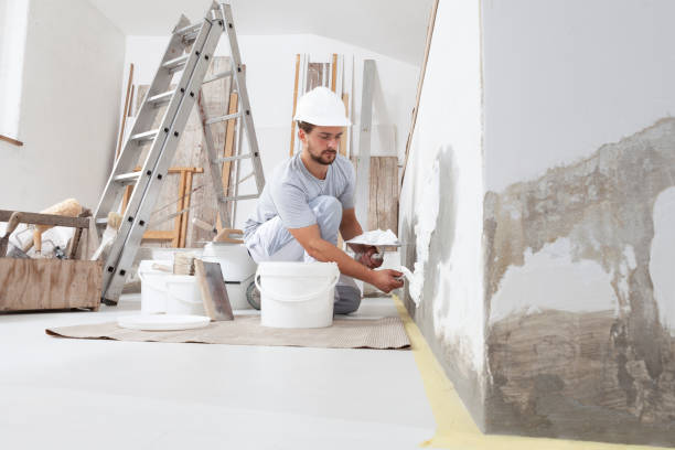 Loving, NM Mold Removal Company